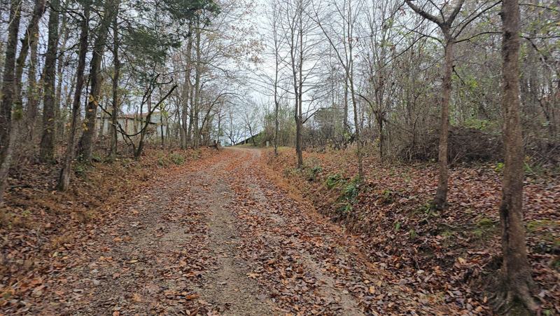 A steep, leaf-covered driveway with ruts before recovery